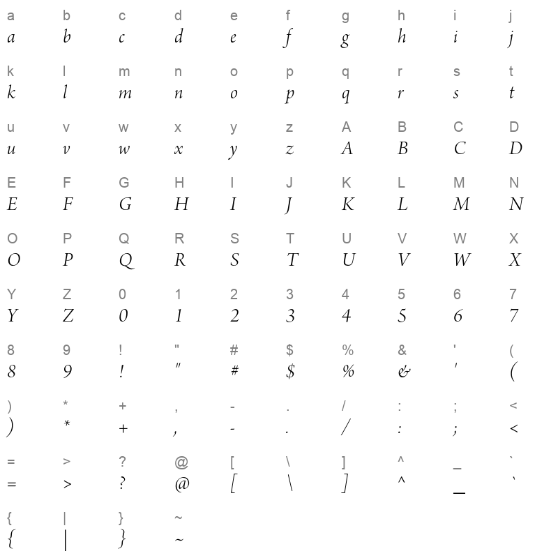 ArnoPro-LightItalicDisplay Character Map