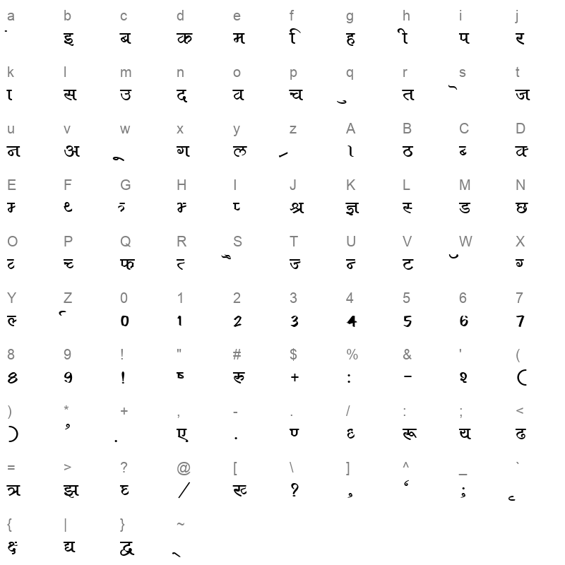 BF204HIN Character Map