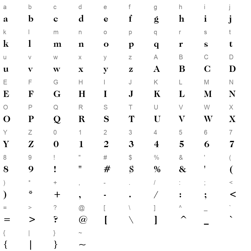 CAS224B Character Map