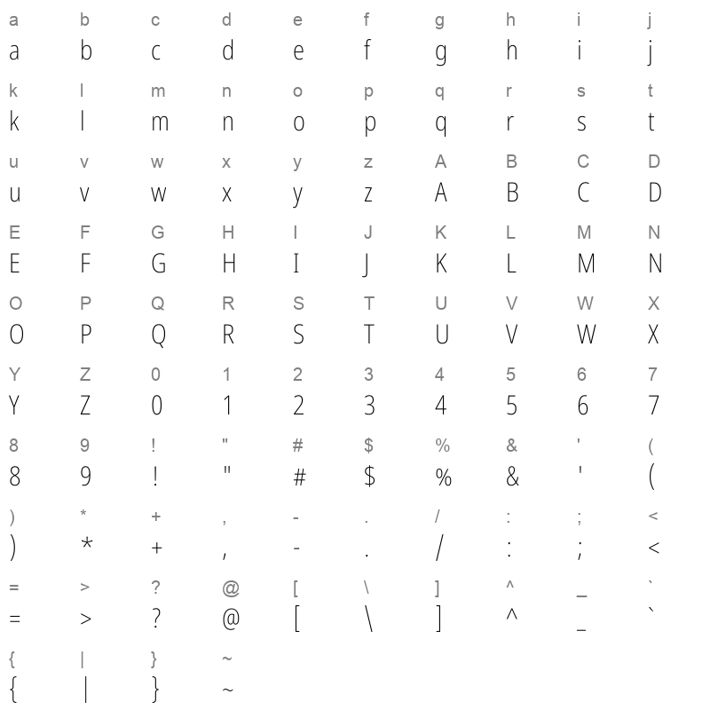 NotoSansDevanagari_Condensed-ExtraLight Character Map