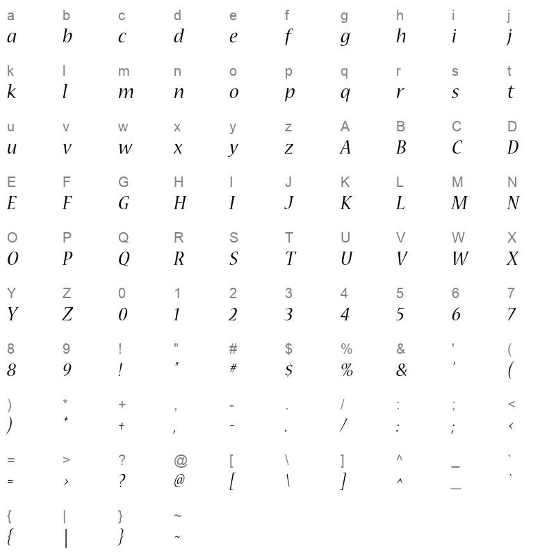 NuevaStd-Italic Character Map
